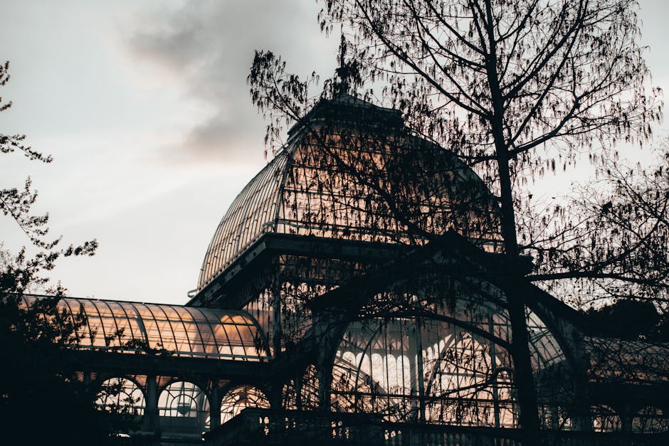 A large glass conservatory building situated outdoors, partially obscured by leafless trees with thin branches, during an overcast day. The structure features curved, transparent glass panels supported by metal frames, with multiple levels and arching entrances. The building appears to be in a park or garden setting, with its reflective glass surfaces catching some ambient light and contrasting against the dark silhouettes of the trees. The surrounding environment includes pavement and possibly a pathway leading to or from the conservatory, suggesting a location often associated with house removals or relocation services. The presence of trees and the building's architectural style align with elements involved in moving or packing when conducting home relocation or furniture transport tasks, as handled by companies such as Man with Van Crystal Palace, especially when considering access routes near landmarks like Crystal Palace Park.