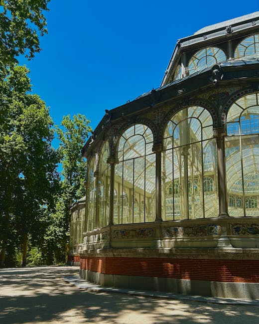 An elegant, historic greenhouse with large, curved glass panels and ornate metal framing, situated in a park setting with tall, leafy trees casting shadows on the paved ground nearby. The greenhouse features intricate decorative details along its base and archways, with sunlight illuminating its structure and highlighting the transparency of the glass. The scene appears to be during daylight hours with a clear blue sky overhead. The surrounding environment includes lush greenery and well-maintained pathways, indicative of a public park or garden where house removals and furniture transport services, like those offered by Man with Van Crystal Palace, could be coordinated during property moves or relocations near areas such as Crystal Palace Park.