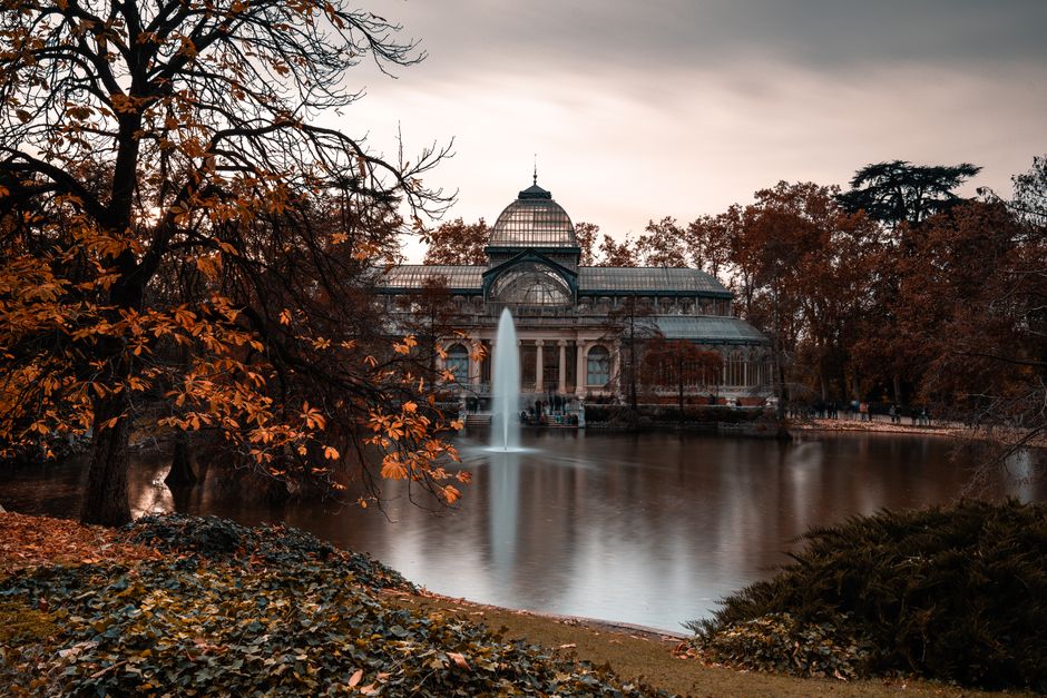 A large glass conservatory building situated outdoors, partially obscured by leafless trees with thin branches, during an overcast day. The structure features curved, transparent glass panels supported by metal frames, with multiple levels and arching entrances. The building appears to be in a park or garden setting, with its reflective glass surfaces catching some ambient light and contrasting against the dark silhouettes of the trees. The surrounding environment includes pavement and possibly a pathway leading to or from the conservatory, suggesting a location often associated with house removals or relocation services. The presence of trees and the building's architectural style align with elements involved in moving or packing when conducting home relocation or furniture transport tasks, as handled by companies such as Man with Van Crystal Palace, especially when considering access routes near landmarks like Crystal Palace Park.